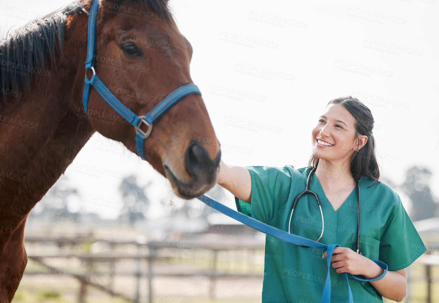 Buy stock photo Veterinarian, horse and caring on outside farm, medical employee and animal healthcare checkup on ranch. Professional, rehabilitation and wellness for veterinary expert, doctor and illness diagnosis