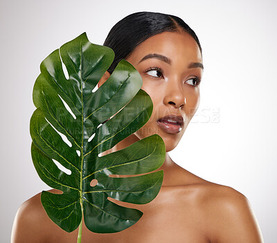 Buy stock photo Studio shot of an attractive young woman posing with a palm leaf against a grey background