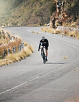 Heading down the highway
