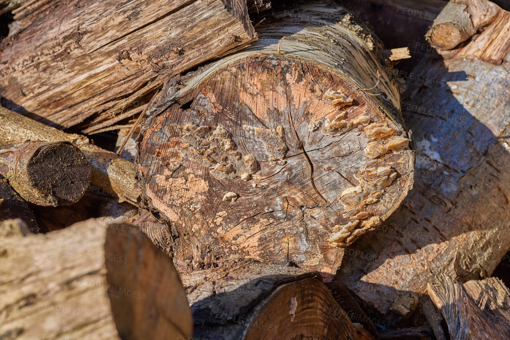 Buy stock photo Firewood