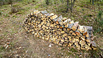 Preparation of firewood for the winter. Stacks of firewood in the forest. Firewood background. Sawed and chopped trees. Stacked wooden logs. 