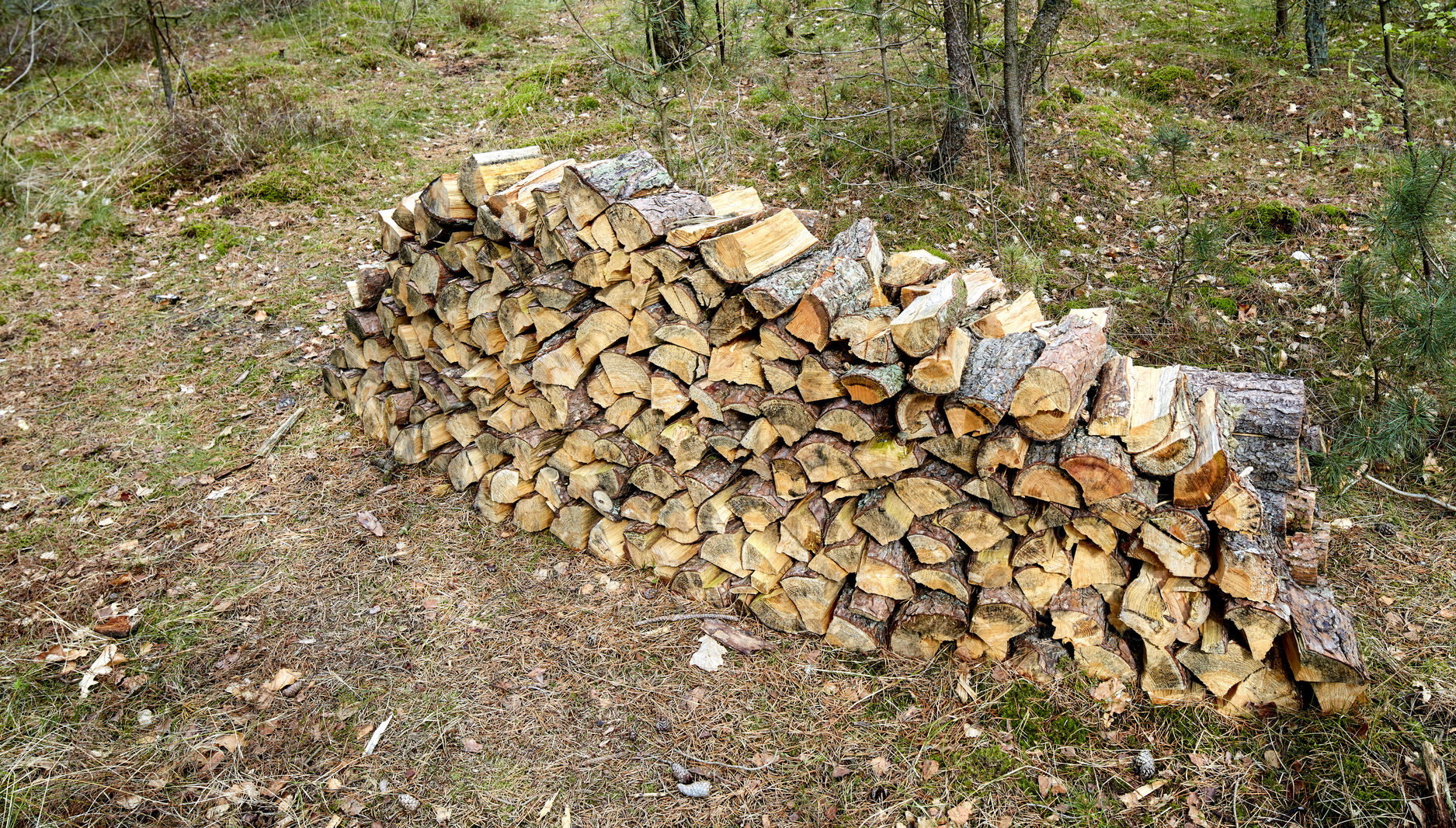 Buy stock photo Firewood