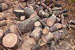 Preparation of firewood for the winter. Stacks of firewood in the forest. Firewood background. Sawed and chopped trees. Stacked wooden logs. 