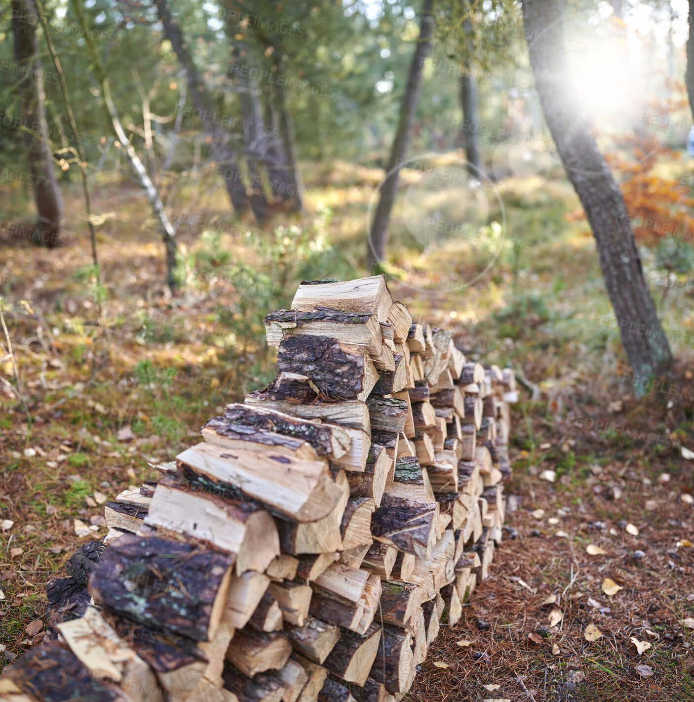 Buy stock photo Firewood