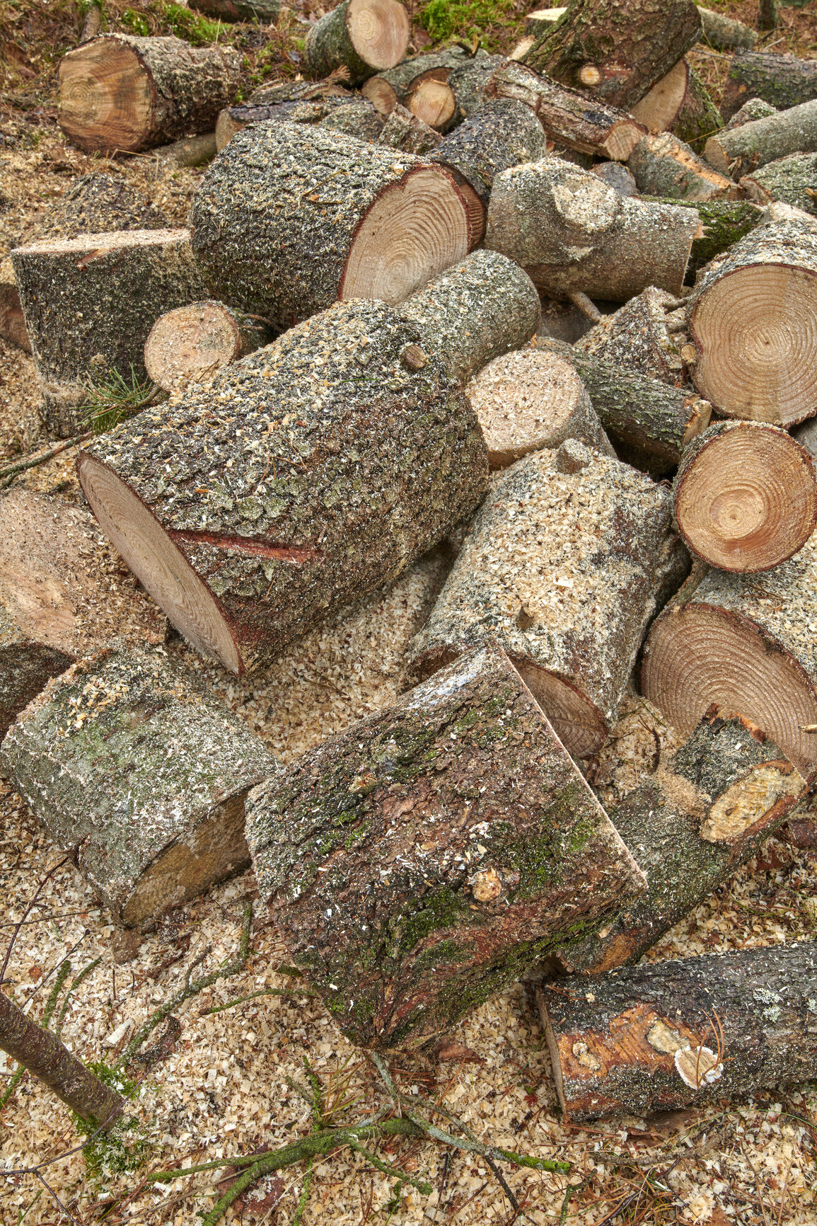 Buy stock photo Firewood