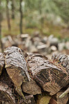 Preparation of firewood for the winter. Stacks of firewood in the forest. Firewood background. Sawed and chopped trees. Stacked wooden logs. 