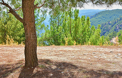 Buy stock photo Beautiful, landscape and scenic view of trees in a park, field or mountain in countryside. Empty, remote and secluded natural environment with plants, greenery and vegetation in nature during summer