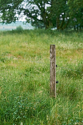 Buy stock photo Wooden post and electric fence used as border to secure and protect the farm plains in the countryside. Landscape of bright green meadow with lush grass, plants and trees in a remote field in spring 