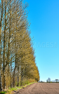 Buy stock photo Autumn forest