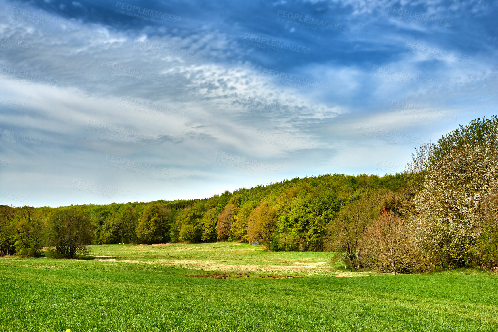 Buy stock photo Autumn forest