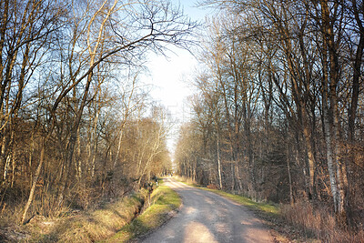 Buy stock photo Trees and forests of all types and seasons