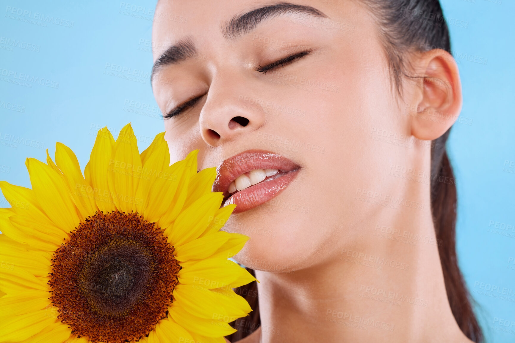 Buy stock photo Studio shot of an attractive young woman posing with a sunflower against a blue background