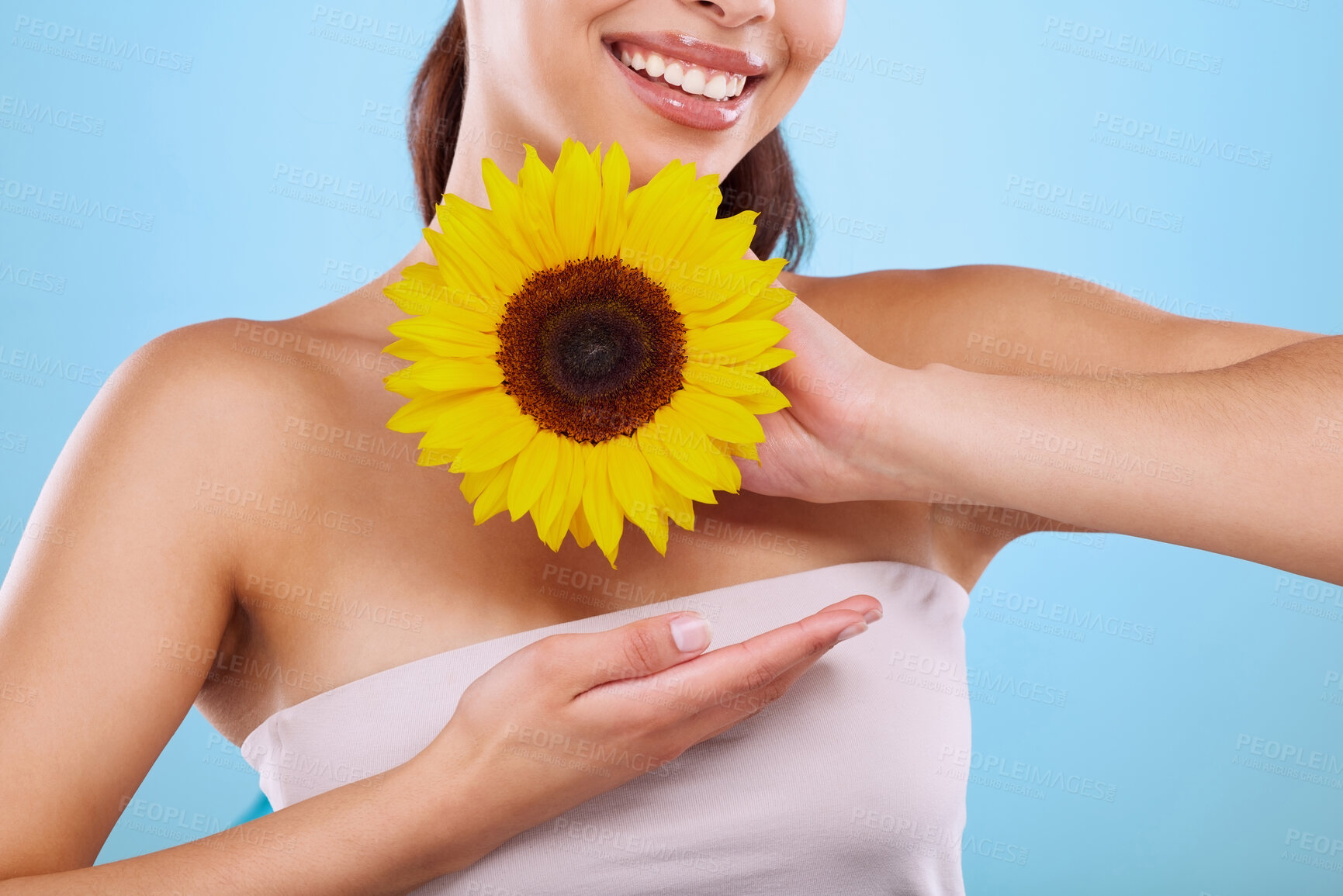 Buy stock photo Skincare, beauty and hands of woman with sunflower, studio and natural benefits of organic facial cosmetics. Smile, dermatology and girl with flower, healthy skin and yellow plant on blue background