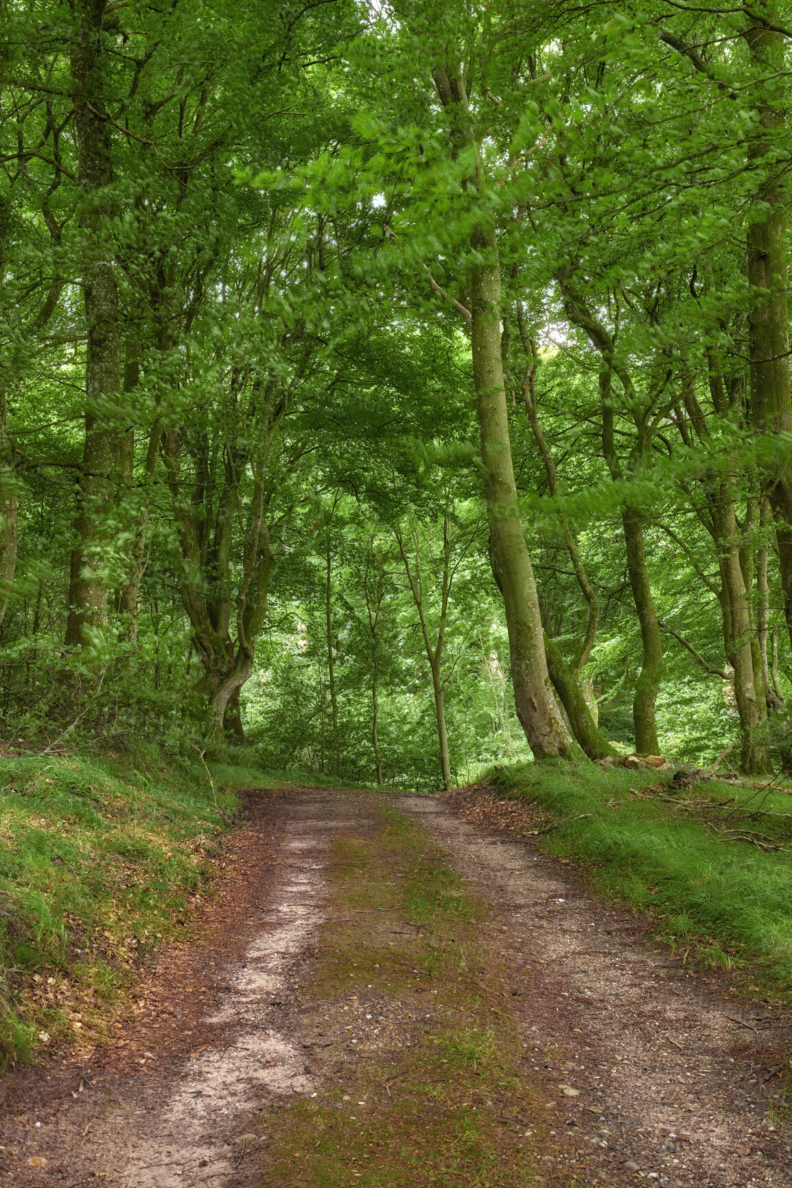 Buy stock photo A road from here to there