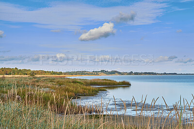Buy stock photo Landscape of sea, lake or coast against sky background with clouds and copy space. Swamp with reeds and wild grass growing at an empty lake outside. Peaceful, calm and beautiful scenic view in nature