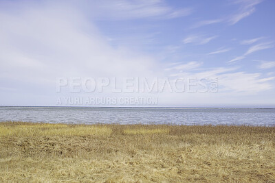 Buy stock photo Landscape of sea, lake or lagoon against a sky background with copy space. Gulf with reeds and wild grass growing on empty coast in Norway. Peaceful, calm and beautiful scenic location in nature