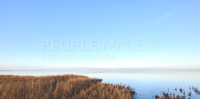 Buy stock photo Beautiful, fresh and colorful nature on a sunny day with calm water and beauty in harmony. Still, gentle lake against a background of soft, twilight sky with green plants, horizon and copy space