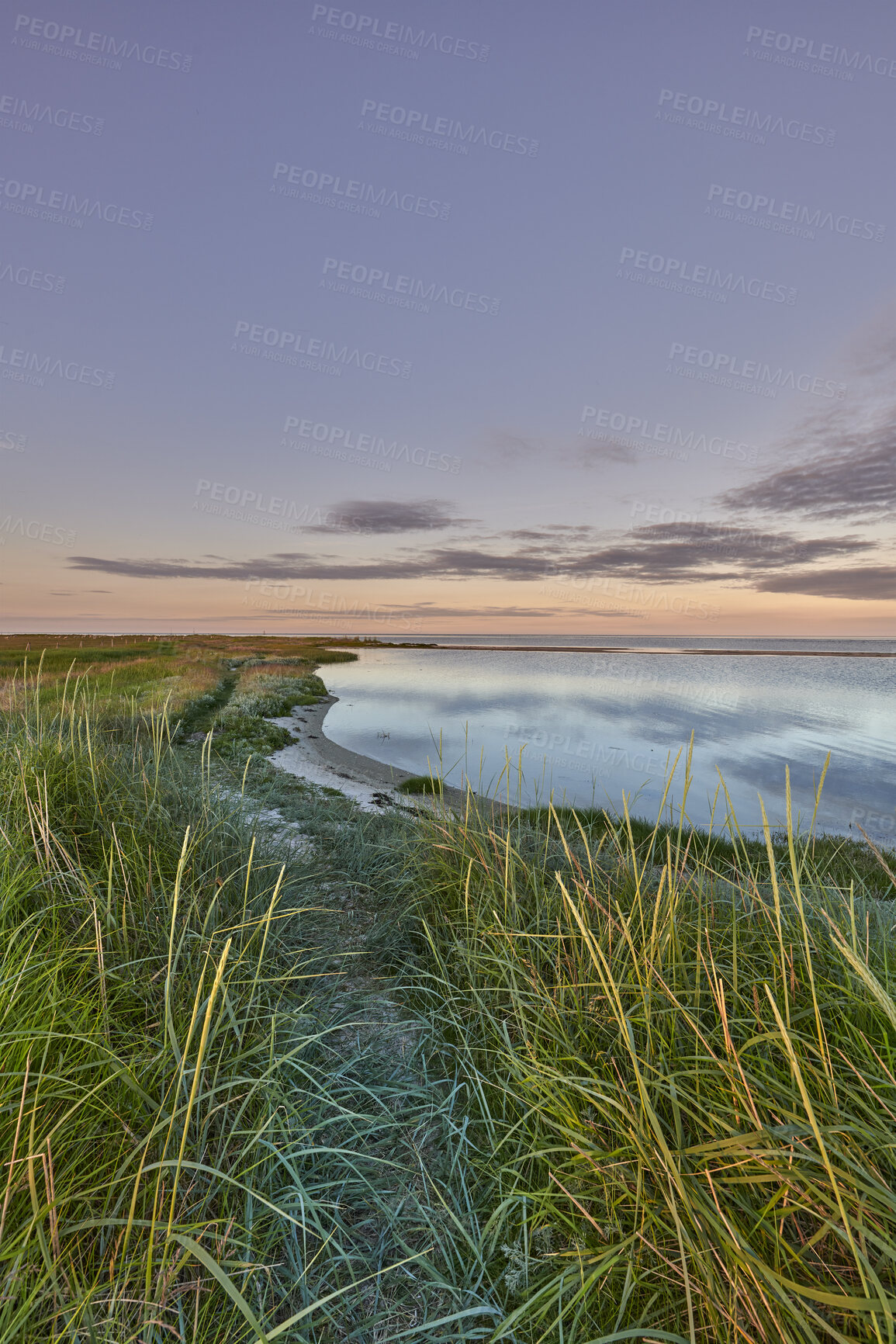 Buy stock photo Landscape of sea, lake or lagoon against sunset sky background with copy space. Gulf with reeds and wild grass growing on empty coast outside. Peaceful, calm and beautiful scenic view in nature