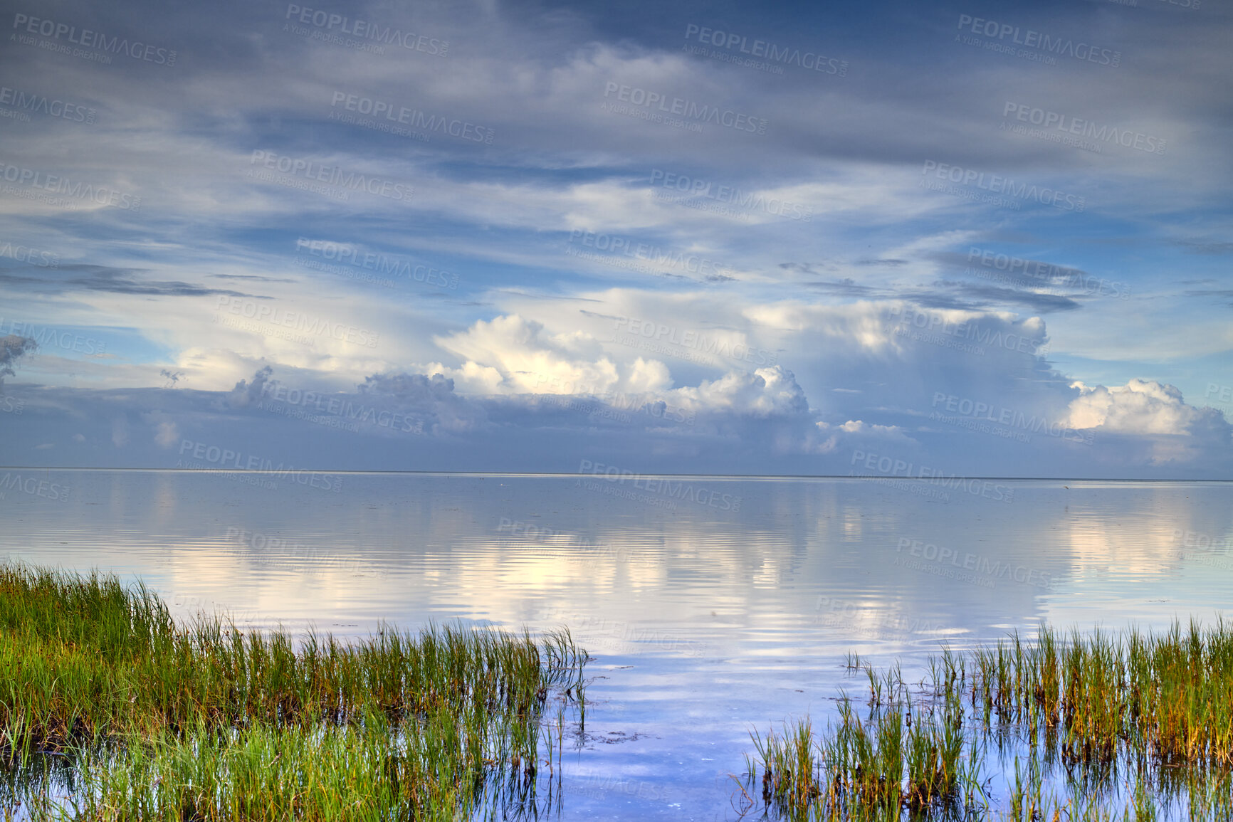 Buy stock photo Landscape of sea, lake or lagoon against sky background with clouds and copy space. Gulf with reeds and wild grass growing on empty coast outside. Peaceful, calm and beautiful scenic view in nature