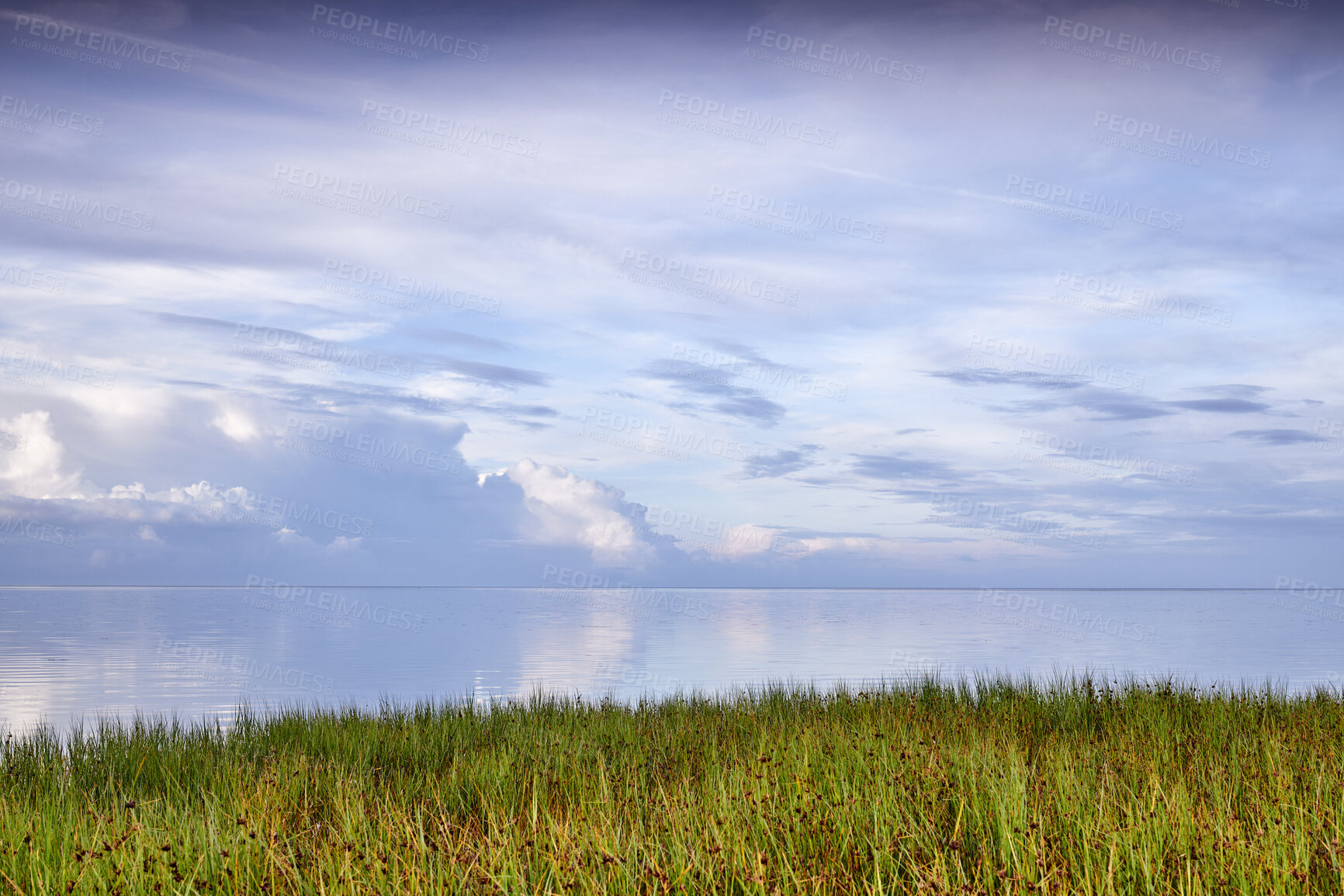 Buy stock photo Copy space, sea and ocean view with green, long and lush grass or reeds on a quiet beach, lake or bay. Relaxing, calm and peaceful remote seascape with blue sky, clouds and water on a secluded island
