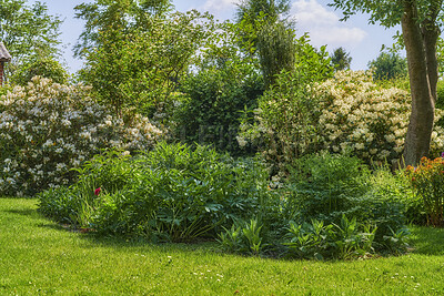 Buy stock photo A series of beautiful garden photos