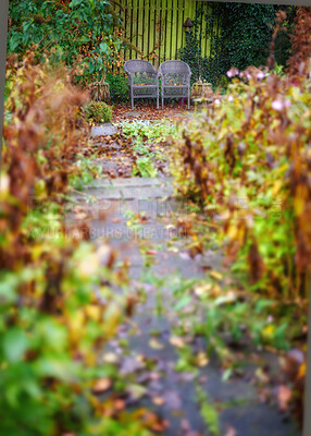 Buy stock photo The private spot of the Gardener - the beauty of garderning 