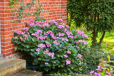 Buy stock photo A series of beautiful garden photos