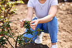 Gardening requires lots of love