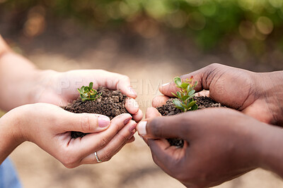 Buy stock photo Nature, soil and hands of people with plant for growth, sustainability and eco friendly farming. Agriculture, earth day and farmers with sprout in palm for agro environment, ecosystem and ecology