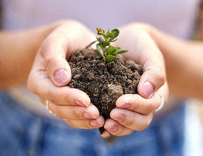 Buy stock photo Farming, soil and hands of person with plant for growth, sustainability and eco friendly gardening. Agriculture, earth day and farmer with sprout in palm for agro environment, ecosystem and ecology