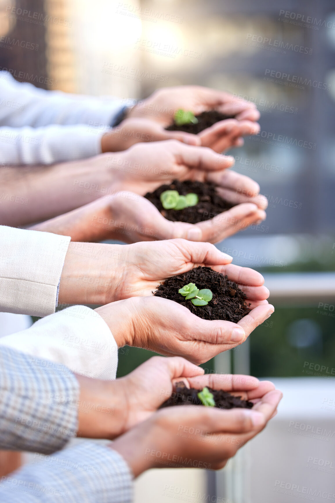 Buy stock photo Group hands, plants and team work for sustainable business, growth and earth day project outdoor. People by balcony with soil or sprout in palm for eco friendly or green investment, future or hope