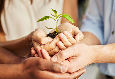 Buy stock photo Shot of a group of people holding a plant