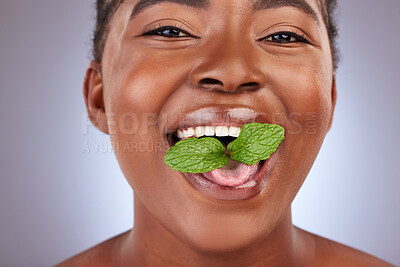 Buy stock photo Hygiene, woman and leaf in studio with portrait for treatment, healthy teeth or fresh breath on gray background. Mint, mouth and black model with green herb for wellness, oral care or satisfaction