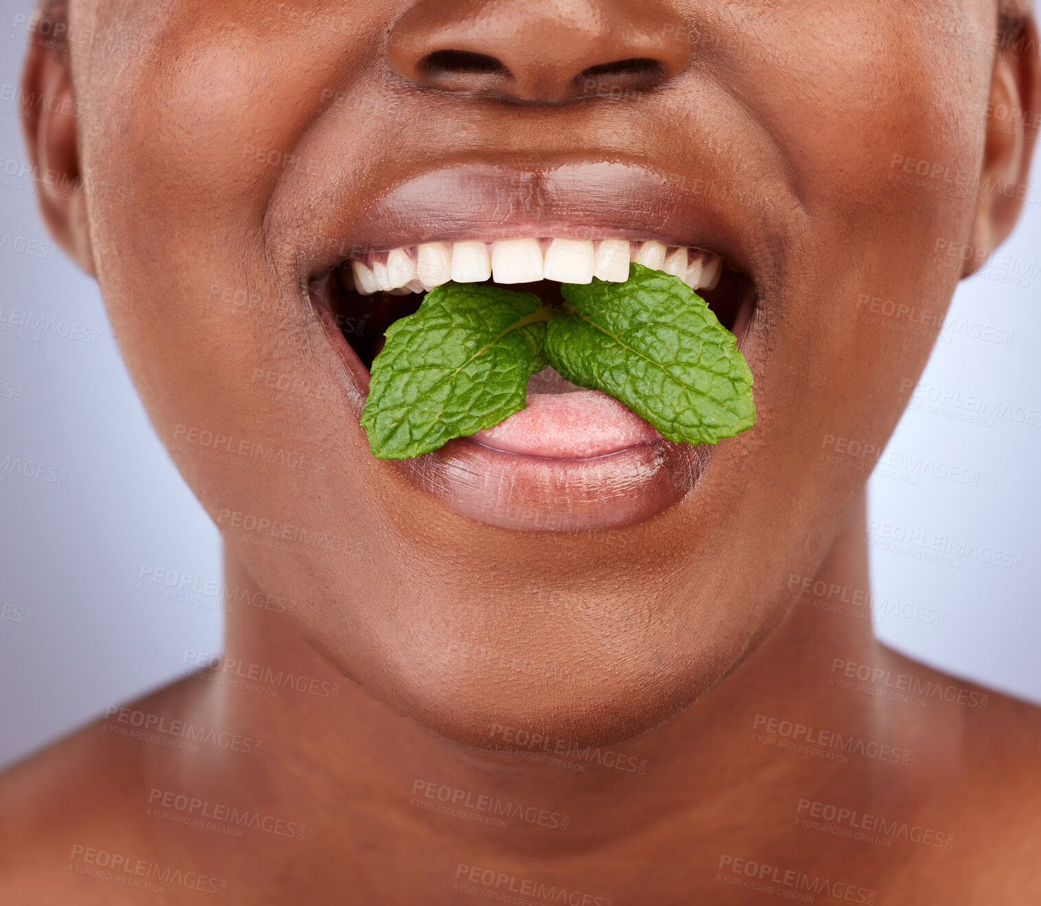 Buy stock photo Hygiene, woman and leaf in studio with closeup for treatment, healthy teeth or fresh breath on gray background. Mint, mouth and black model with green herb for wellness, oral care or satisfaction