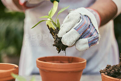 Buy stock photo Shot of a unrecognizable woman planting her pot plant outside