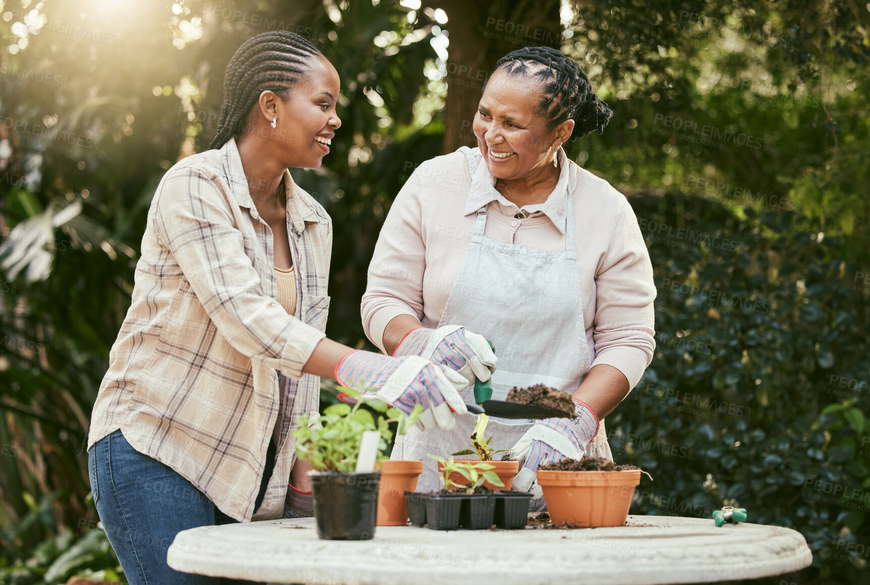 Buy stock photo Shot of a mother and daughter gardening together in their backyard