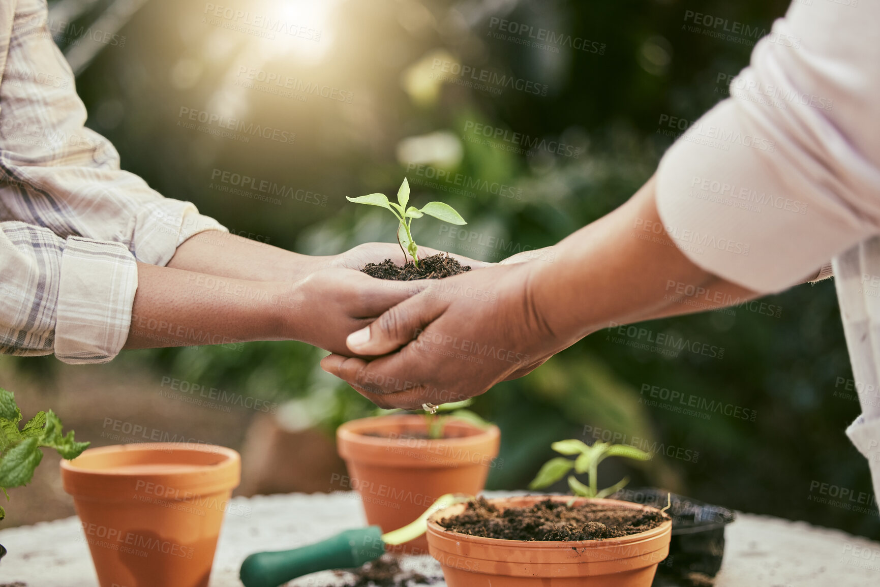 Buy stock photo Gardening, support and hands with soil and plant for eco friendly, sustainable and ecology project. Environment, unity and people with fertilizer and green leaf sprout for community, ngo or charity.