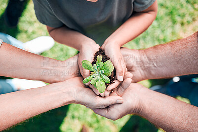 Buy stock photo Plants above, hands and people with a team building, sustainable support and agriculture growth. Earth, nature and group with a plant in dirt for green energy, sustainability and ecology care