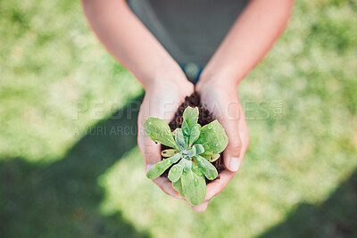Buy stock photo Shot of an unrecognizable little boy holding plants growing out of soil
