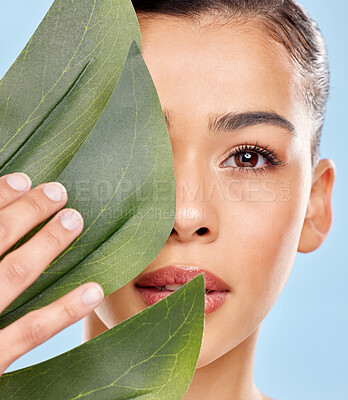 Buy stock photo Studio portrait of an attractive young woman posing with a leaf against a blue background