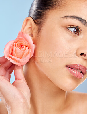Buy stock photo Studio shot of an attractive young woman posing with a pink rose against a blue background