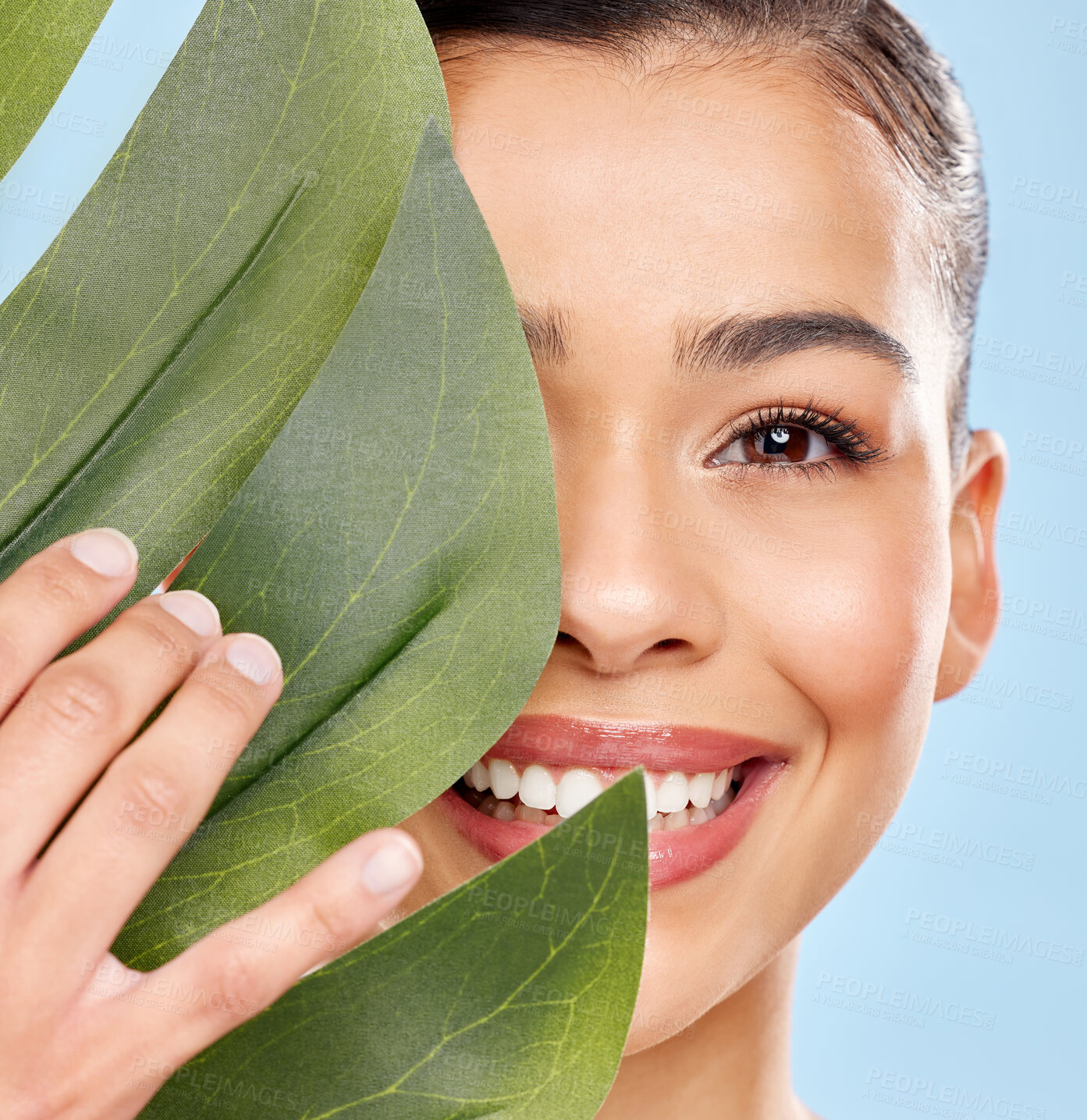 Buy stock photo Woman, skincare portrait and plant leaf with eco friendly beauty for skin glow and healthy shine in studio. Model girl, dermatology and monstera for sustainable or natural cosmetic by blue background