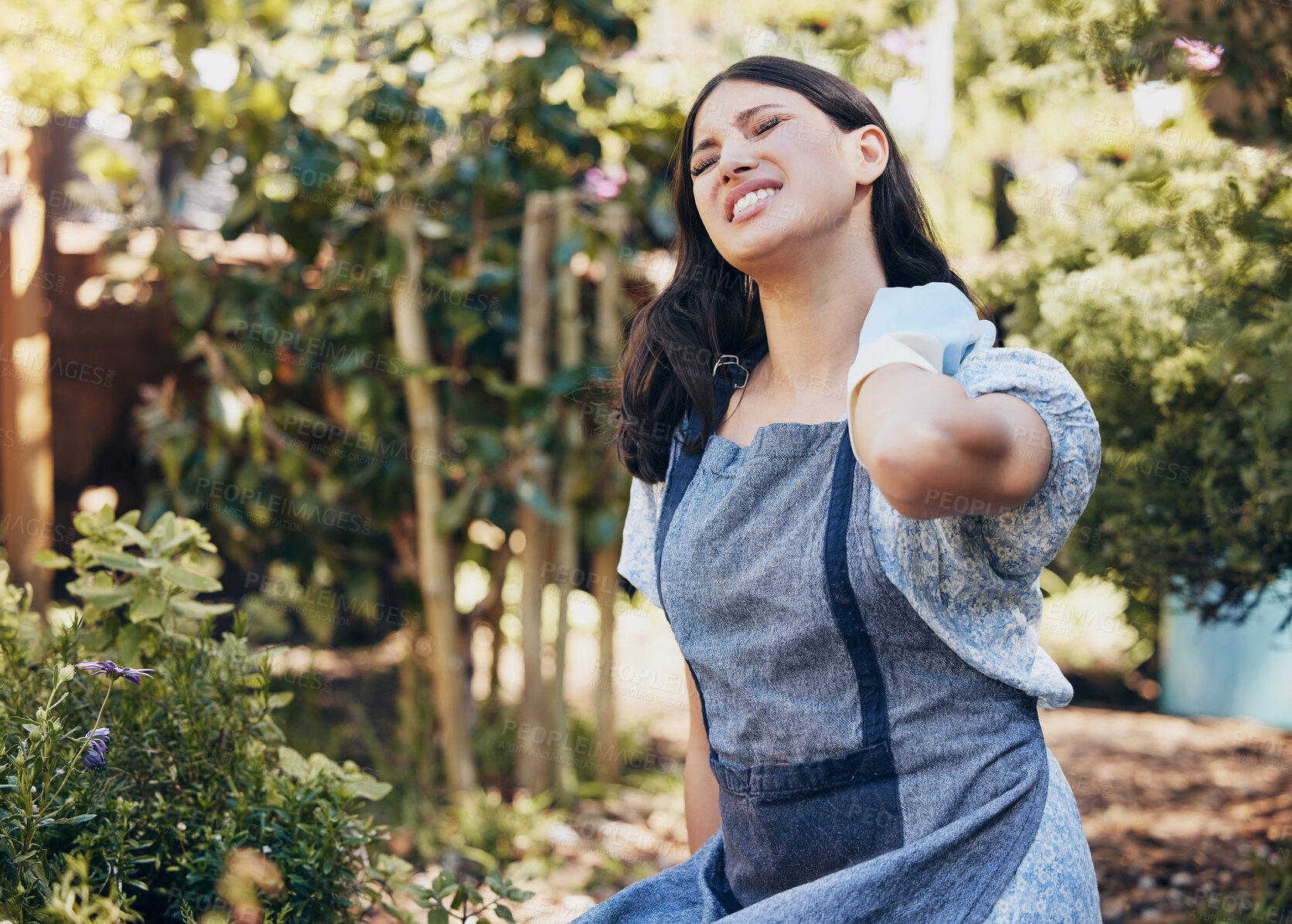 Buy stock photo Woman, working and gloves in garden or pain in neck, green entrepreneur or agriculture. Female person, hand and injury by collar or career with plants, startup with nature for sustainability