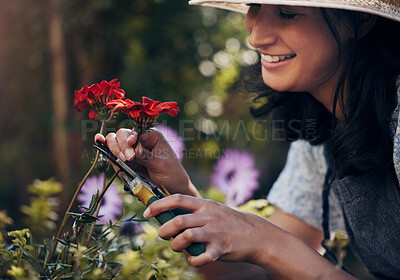 Buy stock photo Flowers, cut or girl florist gardening with natural plant for growth, development or nursery business. Gardener, woman and eco friendly farming for nature, horticulture and floral sustainability 