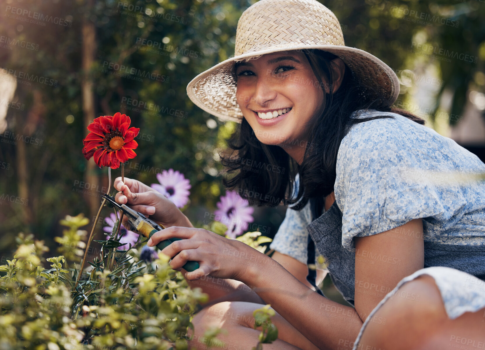 Buy stock photo Flowers, cut or portrait of girl florist gardening natural red plant for growth, development or nursery. Gardener, scissor or happy woman farming for nature, horticulture and floral sustainability