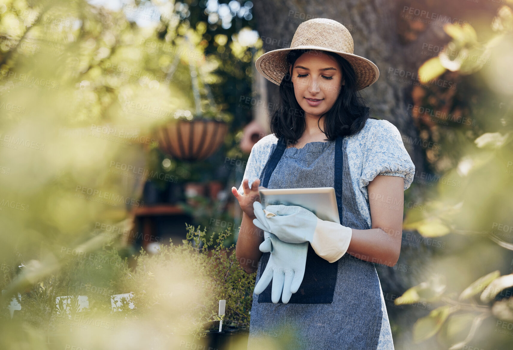 Buy stock photo Florist woman, tablet and nursery for growth, data and typing on app in sunshine at sustainable small business. Girl, entrepreneur and inspection for plants, leaves and nature with analysis in spring