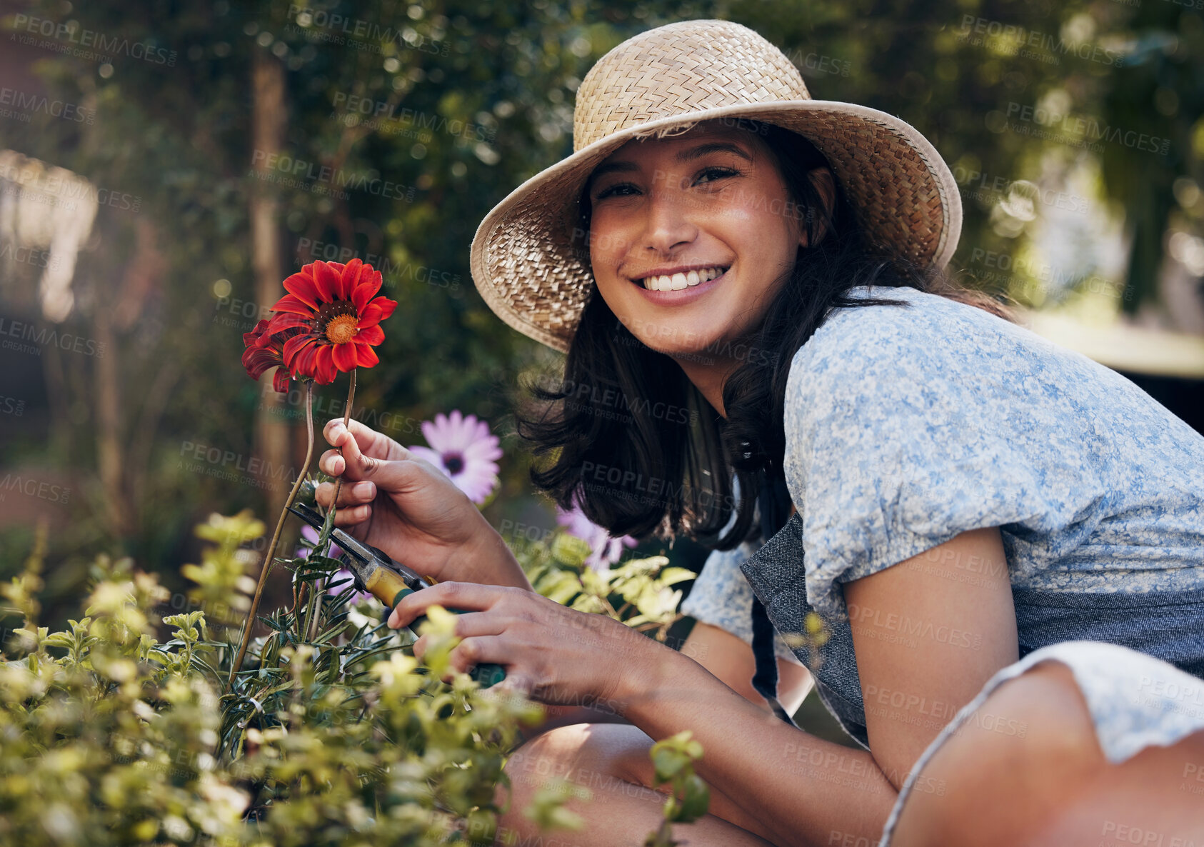 Buy stock photo Red flower, cut or portrait of girl florist gardening natural plants for growth, development or nursery. Gardener, scissor or happy woman farming for nature, horticulture and floral sustainability