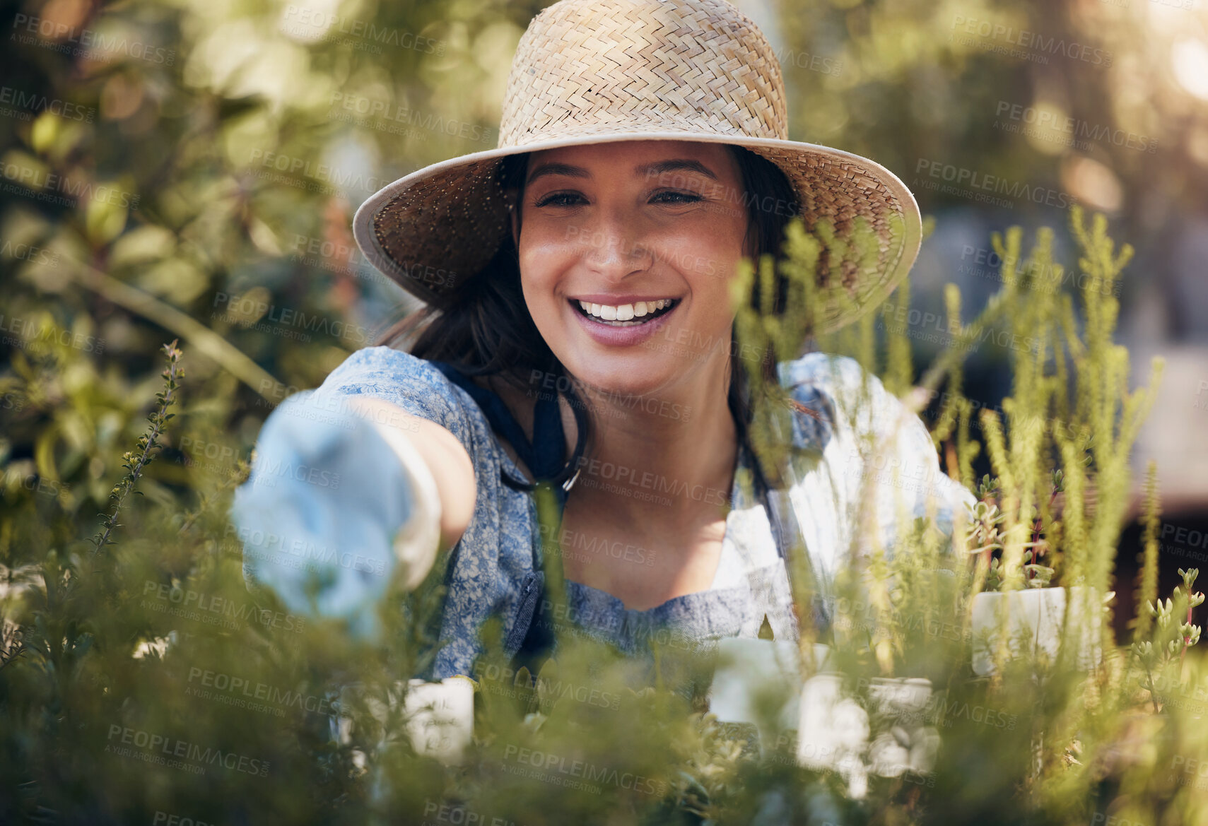 Buy stock photo Nursery, smile or woman in nature with plants for growth, ecology development or agriculture business. Happy gardener, florist or eco friendly farming for care, horticulture or floral sustainability
