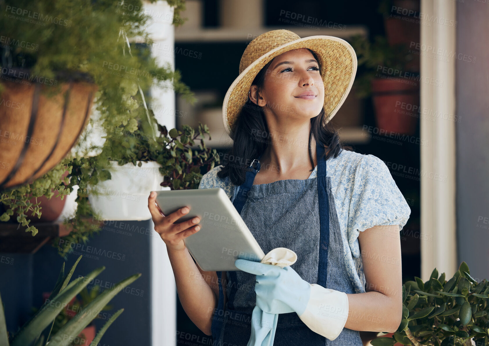 Buy stock photo Florist, tablet or woman in business thinking for growth, development ideas and agriculture service. Gardener, nursery and girl farming for plants, horticulture research and floral results online