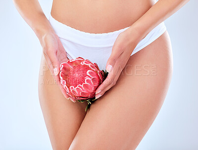 Buy stock photo Shot of a fit unrecognizable woman posing in her panty and holding a protea against a grey background